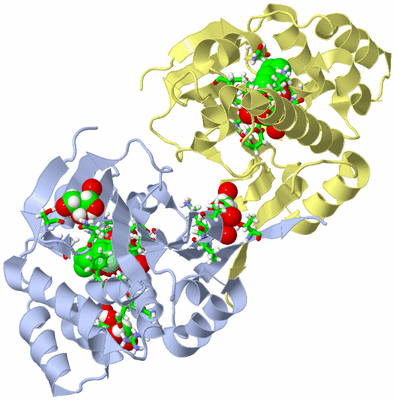 Image Biol. Unit 1 - sites