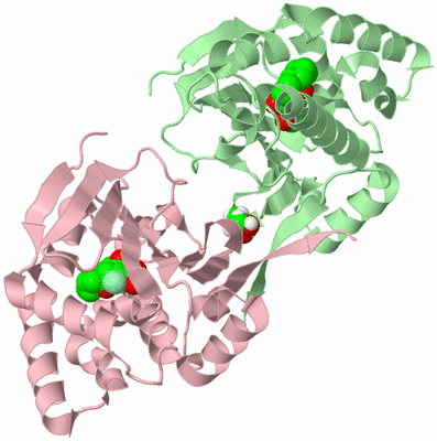 Image Biological Unit 2