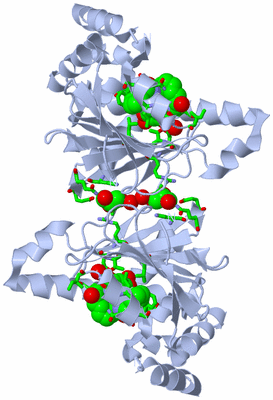 Image Biol. Unit 1 - sites