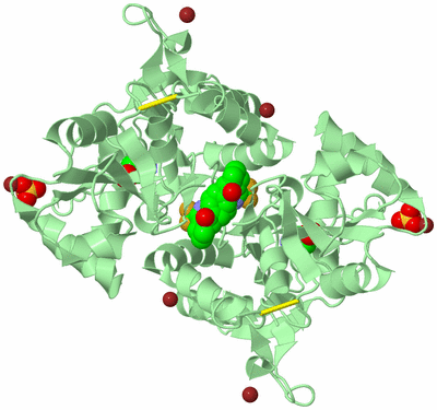 Image Biological Unit 2