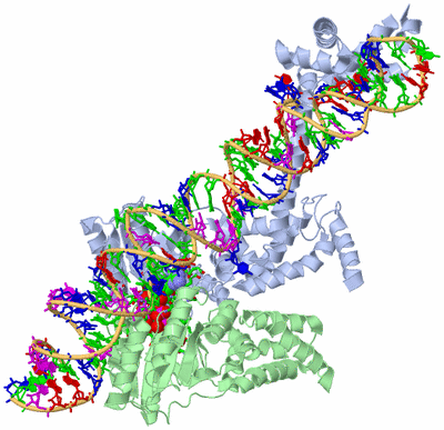 Image Biol. Unit 1 - sites