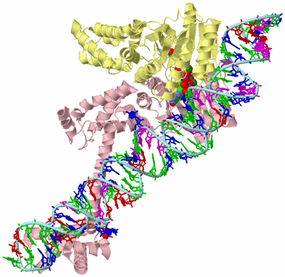 Image Biological Unit 2