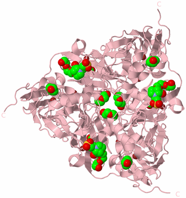 Image Biological Unit 2