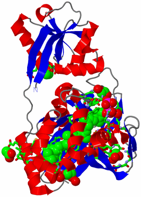 Image Asym./Biol. Unit - sites