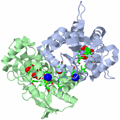 Image Asym./Biol. Unit - sites