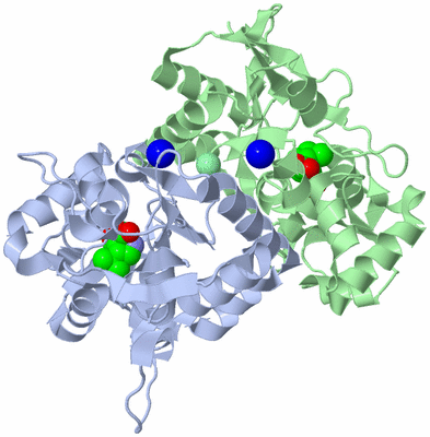 Image Asym./Biol. Unit