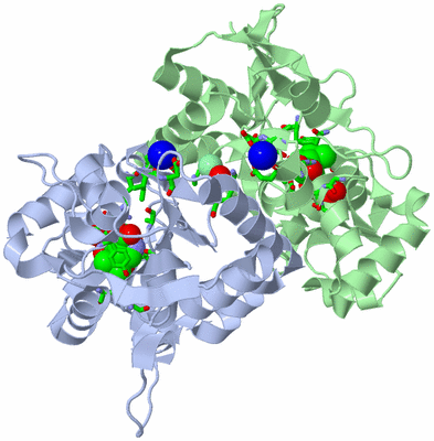 Image Asym./Biol. Unit - sites