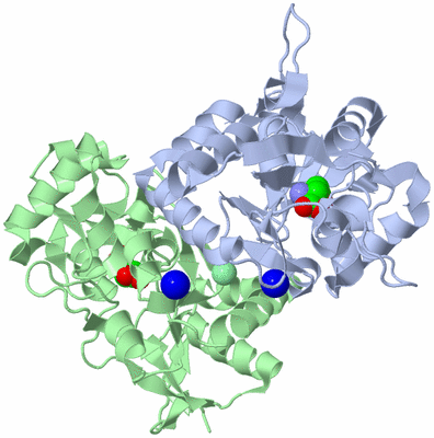 Image Asym./Biol. Unit