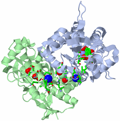 Image Asym./Biol. Unit - sites