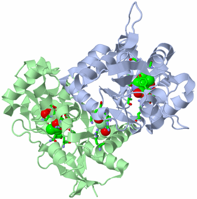 Image Asym./Biol. Unit - sites