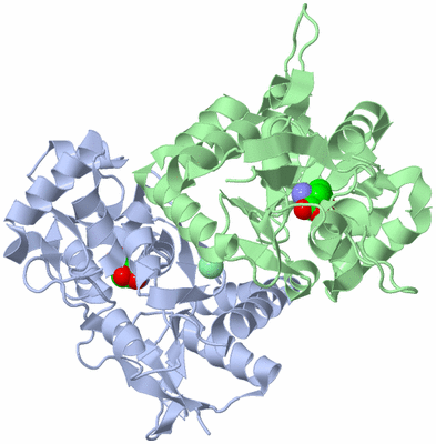 Image Asym./Biol. Unit