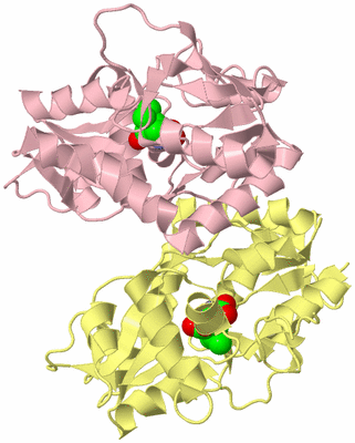 Image Biological Unit 2