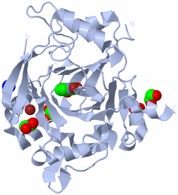 Image Biological Unit 1