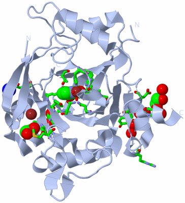 Image Biol. Unit 1 - sites