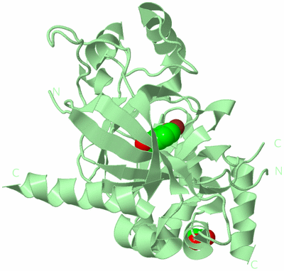 Image Biological Unit 2