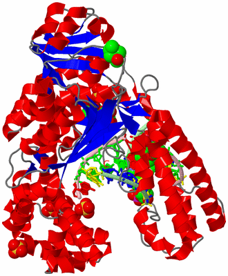 Image Asym./Biol. Unit