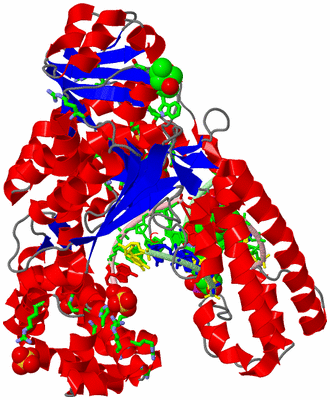 Image Asym./Biol. Unit - sites