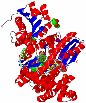 Image Asym./Biol. Unit