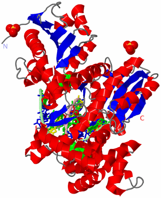 Image Asym./Biol. Unit