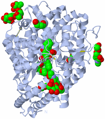 Image Biological Unit 1