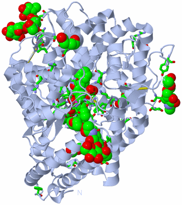 Image Biol. Unit 1 - sites