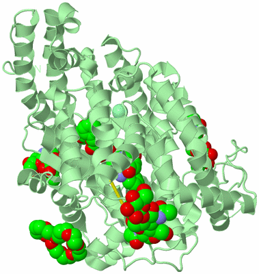 Image Biological Unit 2