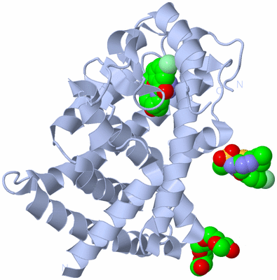 Image Biological Unit 1