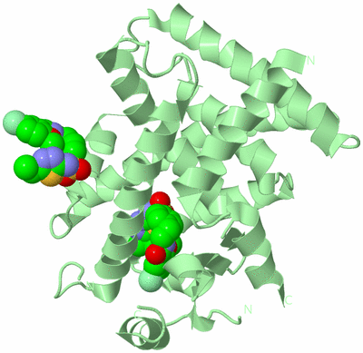 Image Biological Unit 2