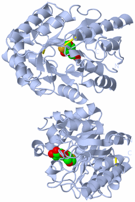 Image Biological Unit 1