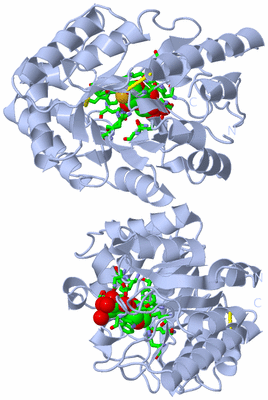 Image Biol. Unit 1 - sites