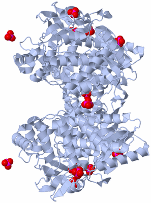 Image Biological Unit 1