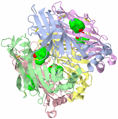 Image Asym./Biol. Unit