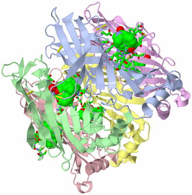 Image Asym./Biol. Unit - sites