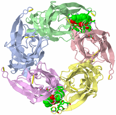 Image Biol. Unit 1 - sites