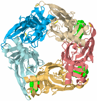 Image Biological Unit 2