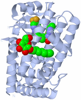 Image Biological Unit 1