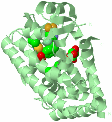 Image Biological Unit 2