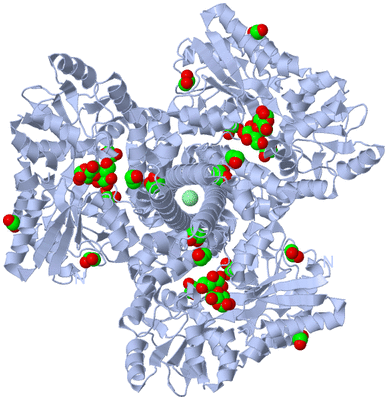 Image Biological Unit 1