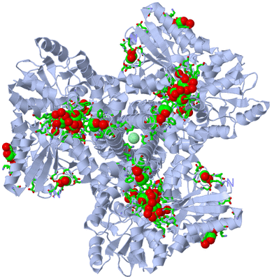 Image Biol. Unit 1 - sites