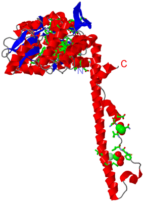 Image Asym. Unit - sites