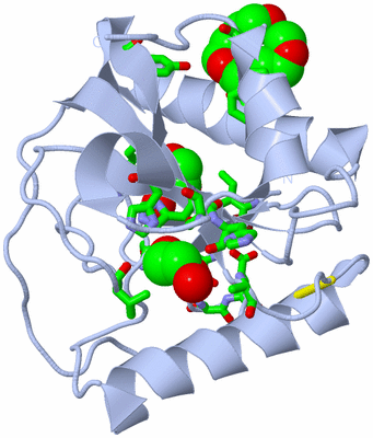 Image Biol. Unit 1 - sites