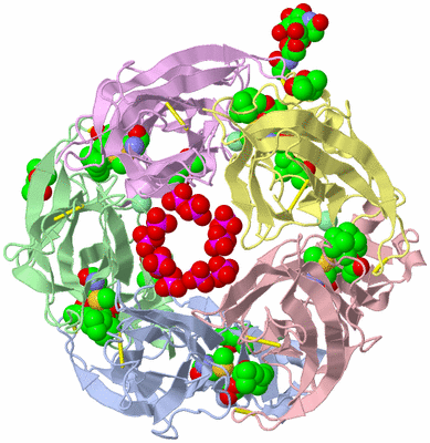 Image Asym./Biol. Unit