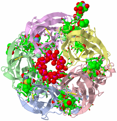 Image Asym./Biol. Unit - sites