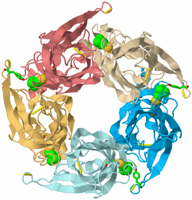 Image Biol. Unit 1 - sites