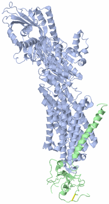 Image Asym./Biol. Unit