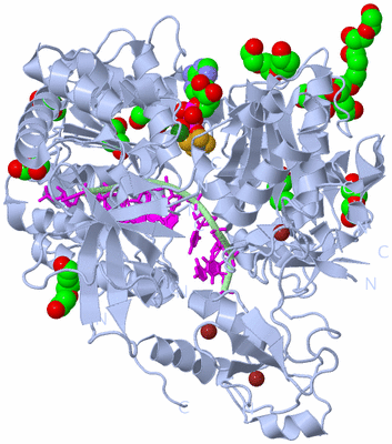 Image Biological Unit 1