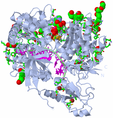 Image Biol. Unit 1 - sites