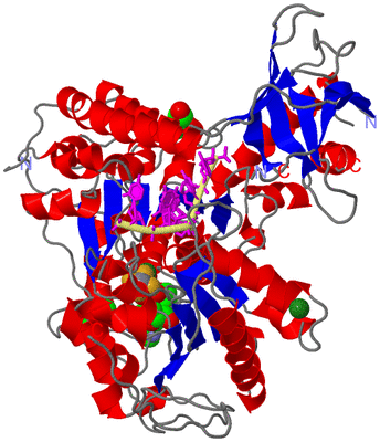 Image Asym./Biol. Unit