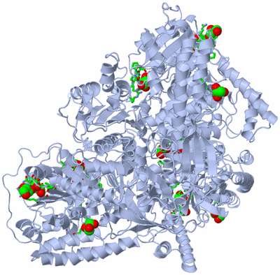 Image Biol. Unit 1 - sites