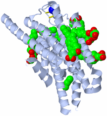 Image Biological Unit 1